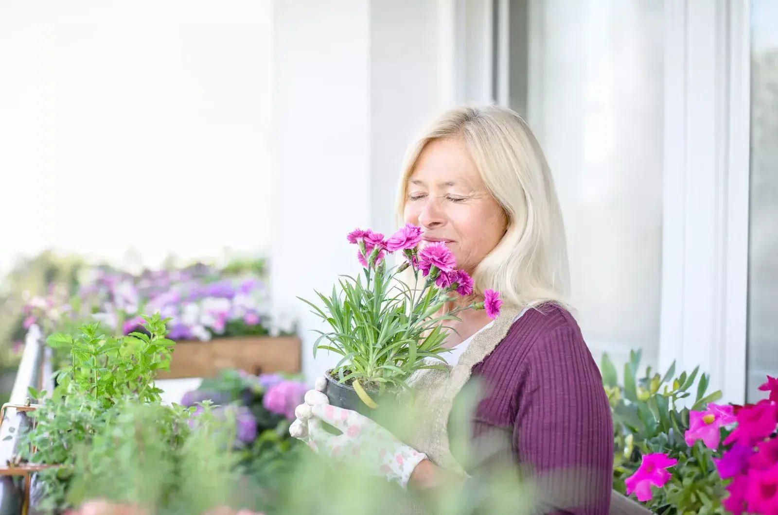 Shutterstock Image 1781370506 (1)